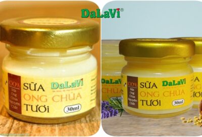 DaLaVi – Cung cấp Sữa ong chúa giá sỉ chất lượng, uy tín hàng đầu