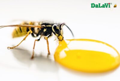 Lời khuyên từ chuyên gia: Có nên uống sữa ong chúa thường xuyên không?